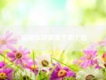 稻城在哪里属于哪个省、稻城亚丁位于哪里个省?