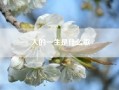 人的一生是什么歌（人这一生啊 就一堆堆坎坷是什么歌 歌名是什么）