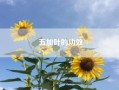 五加叶的功效？什么蔬菜……？