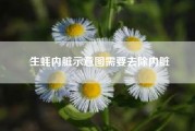 生蚝内脏示意图需要去除内脏 吃生蚝要去掉什么部位图解? 生蚝内脏示意图需要去除内脏 吃生蚝要去掉什么部位图解?