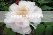 补肾吃什么东西效果最好.蝎子吃什么食物
