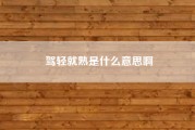 驾轻就熟是什么意思啊(驾轻就熟是什么意思)