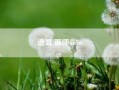 遗温 画师meow（toby black meow什么意思）