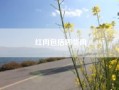 红肉包括哪些肉?红肉是什么肉?